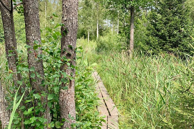 Stockholm: Nature Reserve Hiking Tour with Campfire Lunch - Small-group energy: what it feels like with up to 8 people