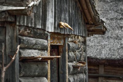 Stockholm Pass: Save up to 50% - Includes Vasa Museum Ticket - Your Best Value Days: Simple 1-, 2-, and 3-Day Strategies