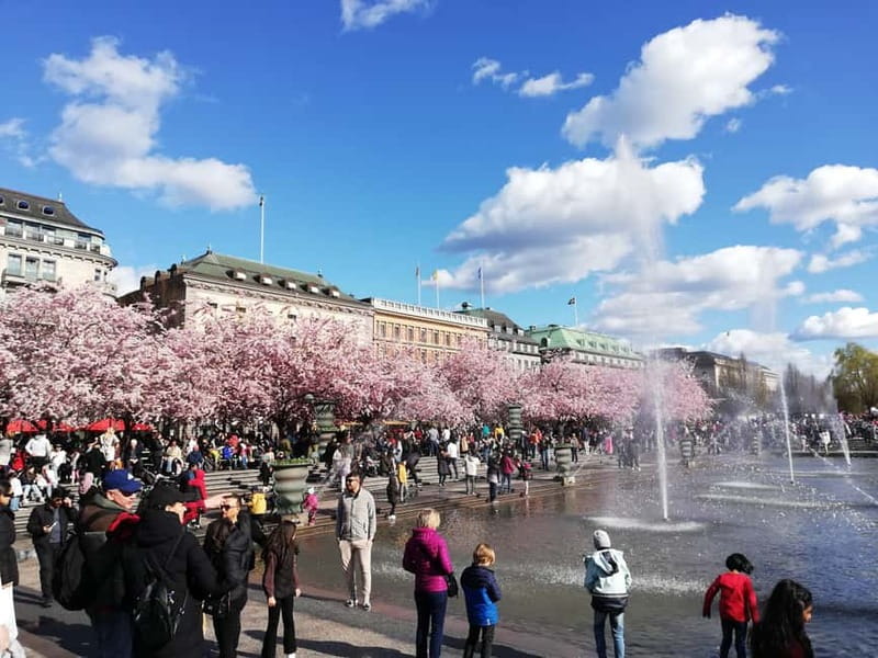 Stockholm: Scandinavian Architecture & Design Ostermalm Tour - Svampen and the pacing of a 3-hour architecture walk