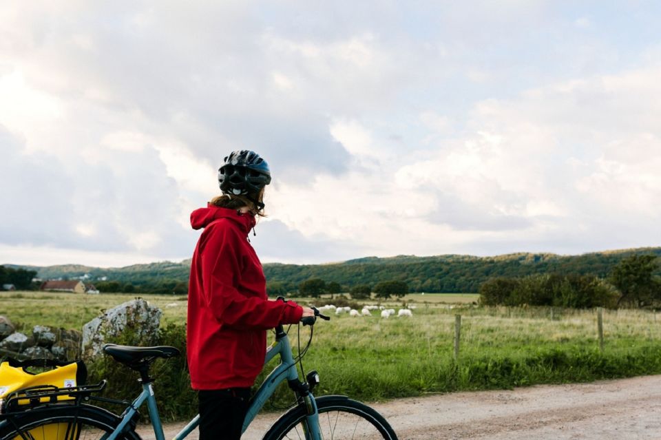 Stockholm: Self Guided GPS Bike Tour - Parks and urban nature: Green Havens of the Capital