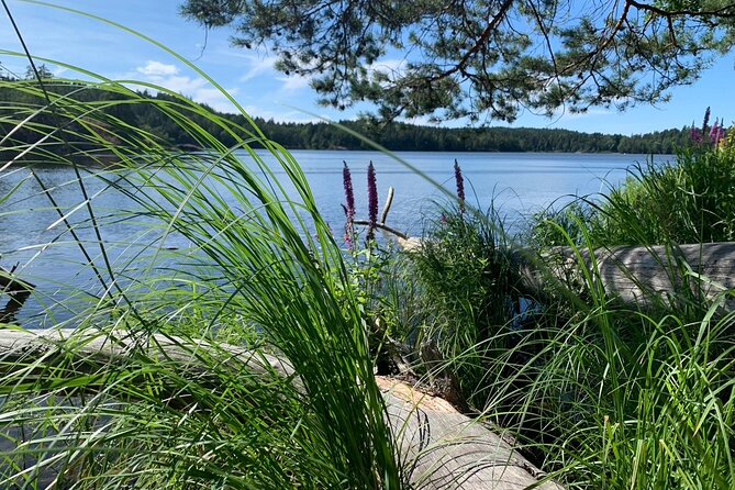 Stockholm: Sunset Hike in Tyresta National Park with Meal - The hike itself: distance, uphill bits, and off-trail walking