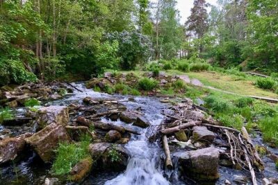 Stockholm: Sunset Hike in Tyresta National Park with Meal - From Gullmarsplan to the trail: getting out of Stockholm without drama