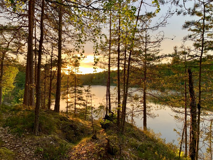 Stockholm: Sunset Hike in Tyresta National Park with Meal - The return hike after dark: quiet forest sounds and careful steps