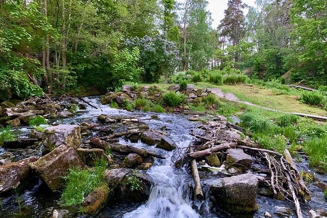 Stockholm: Sunset Hike in Tyresta National Park with Meal - From Gullmarsplan to the trail: getting out of Stockholm without drama