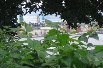 Stockholm Top attractions all-inclusive Gran Tour - Meeting at Centralplan 15 and Avoiding the Common Pickup Headaches