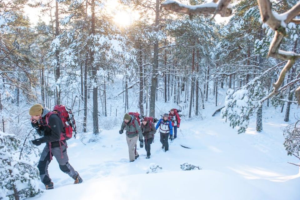 Stockholm: Winter Snowshoe Full-Day Hike - Key highlights at a glance