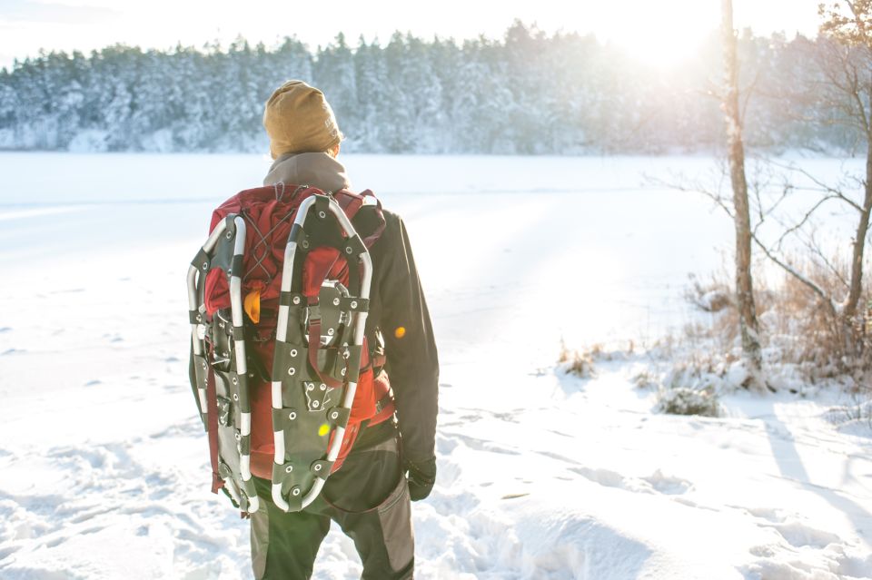 Stockholm: Winter Snowshoe Full-Day Hike - Should You Book This Winter Snowshoe Hike?