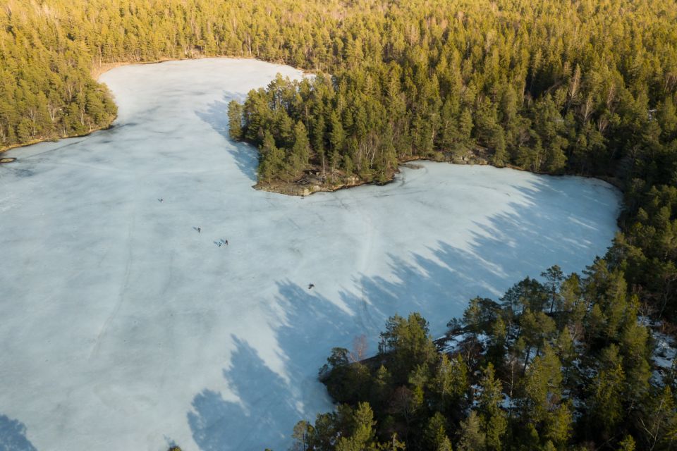 Stockholm: Winter Snowshoe Full-Day Hike - A Guided Walk Through Swedish Nature: Forest, Deer Tracks, Frozen Lakes