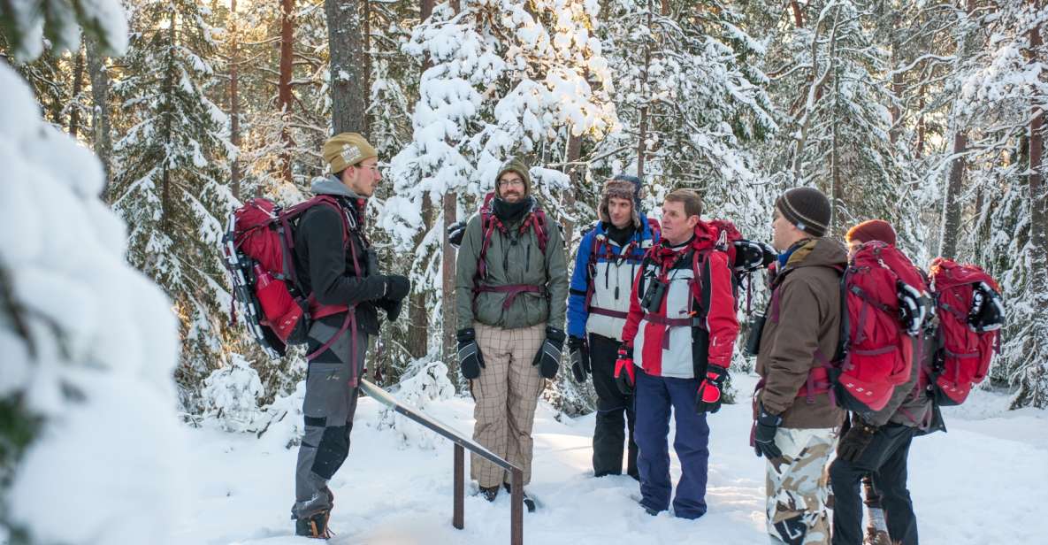 Stockholm: Winter Snowshoe Full-Day Hike - Campfire Lunch and a Warm-Up You’ll Actually Feel