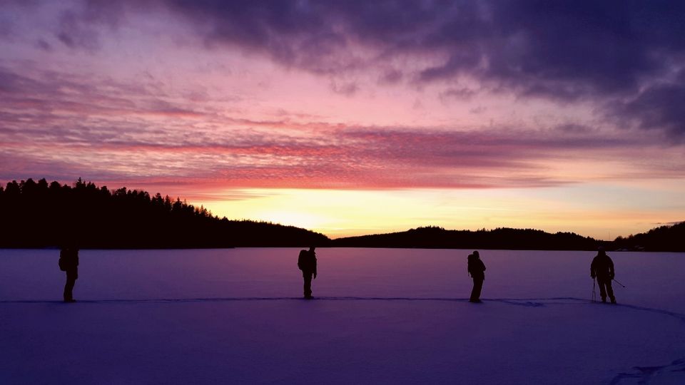 Stockholm: Winter Snowshoe Full-Day Hike - Small Group Pacing: Up to 8 People, Multiple Guide Styles