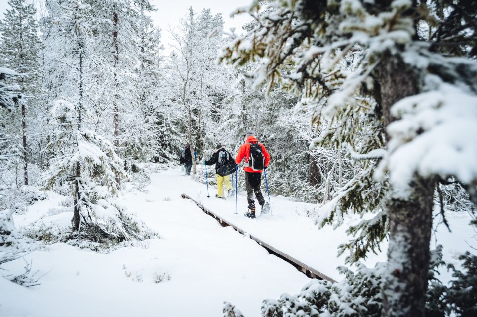 Stockholm: Winter Snowshoe Full-Day Hike - Price and Value: Is $176 Worth It?