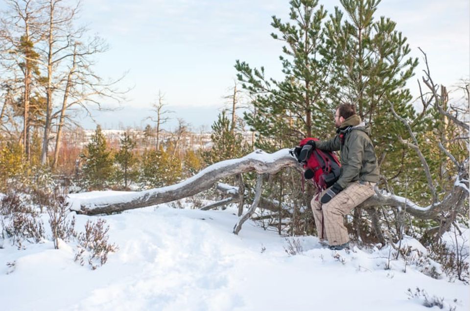 Stockholm: Winter Snowshoe Full-Day Hike - Who Should Book This (and Who Might Skip)