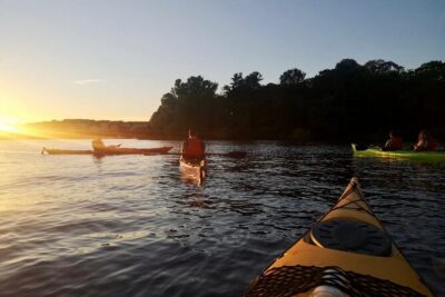 Sunset Kayak Tour in Central Stockholm and Swedish Fika - The first paddle: safety, confidence, and a comfortable loop