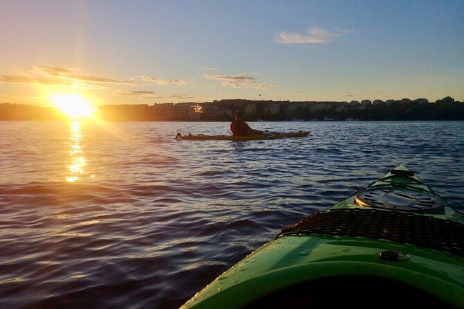 Sunset Kayak Tour in Central Stockholm and Swedish Fika - Views of city hall and central landmarks