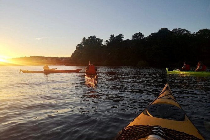 Sunset Kayak Tour in Central Stockholm and Swedish Fika - The first paddle: safety, confidence, and a comfortable loop