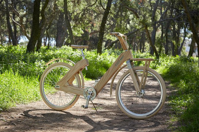The Wooden Bicycle Tour in Stockholm - The 2-hour ride: what you can expect to see and do