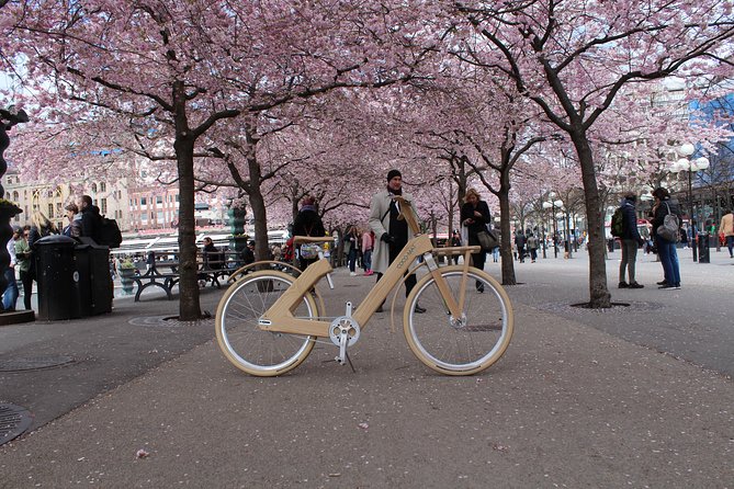 The Wooden Bicycle Tour in Stockholm - Wooden bikes: how the ride feels and why it matters
