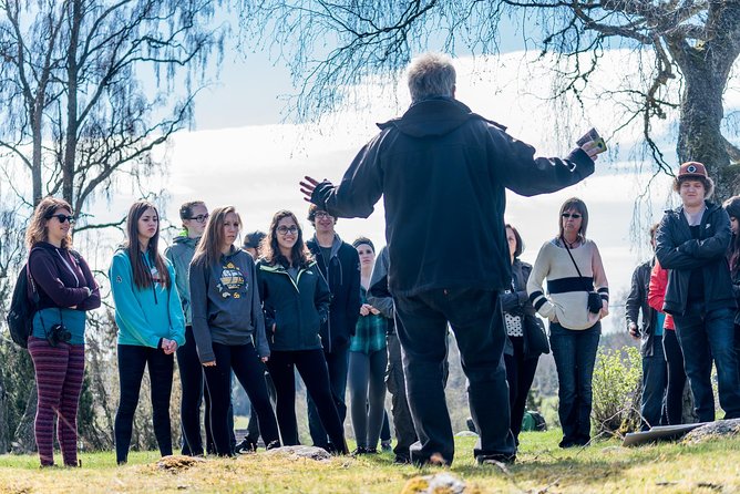 Viking History and Swedish Countryside Tour to Sigtuna & Uppsala - How the Viking history day works outside central Stockholm